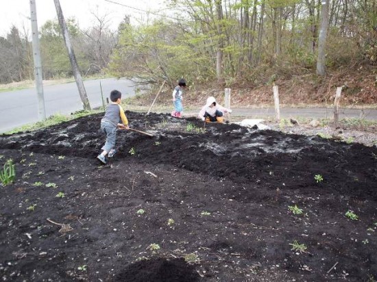 土起こし20120506a