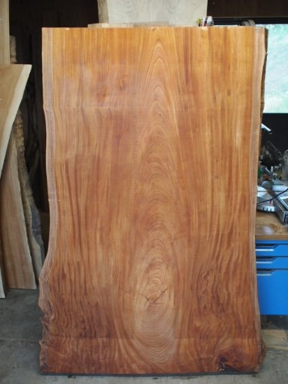 欅巨木一枚板厚盤の原木20141116