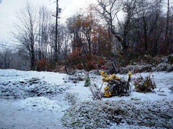 今年の初雪は11月15日
