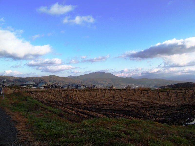 平凡ながら楽しい休日　～家族との貴重な時間～