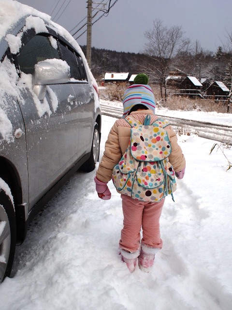 雪が予想外に積もりました