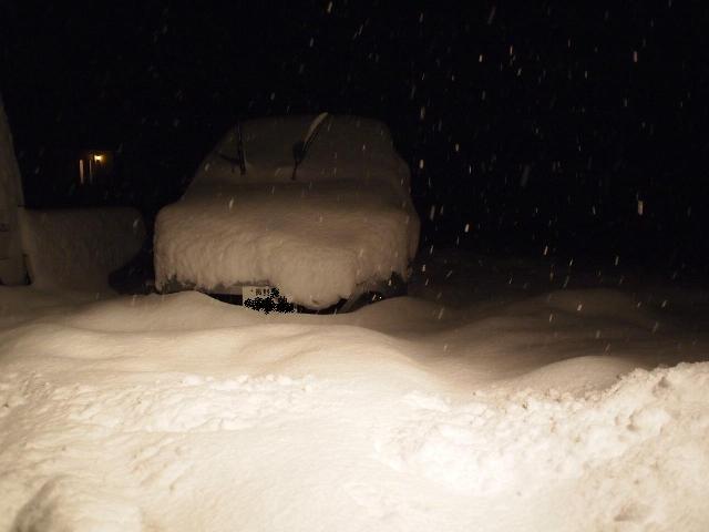 大雪です