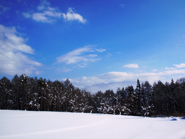 今日は朝から良い天気(*^^*)