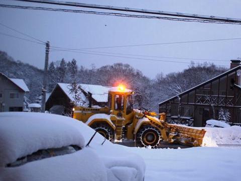 ついに大雪が。。。