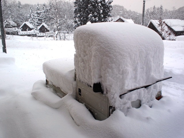 愛車の軽トラが。。。