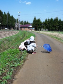 $とっこやさんのブログ