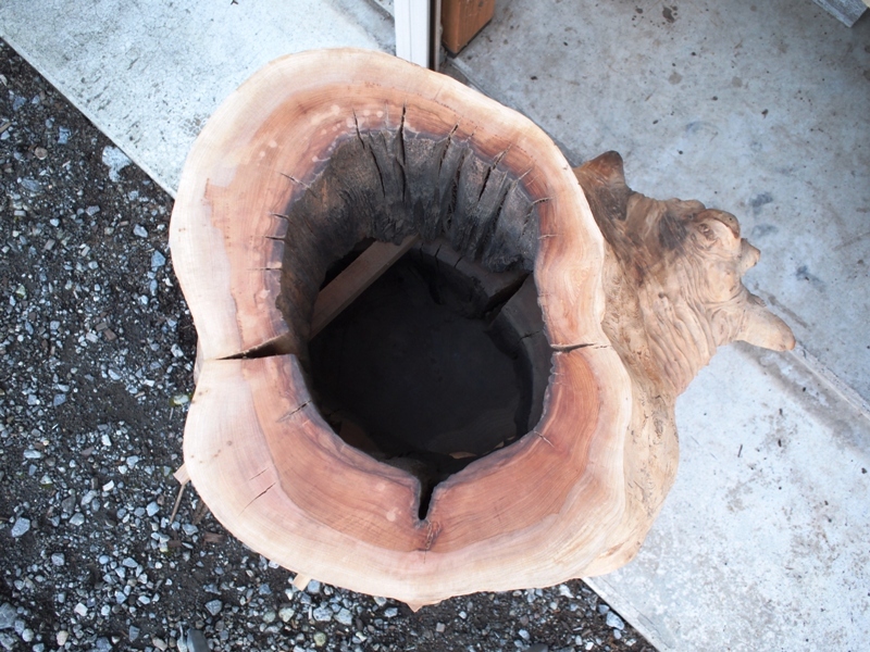空洞木 木のうろ はなぜ出来るのか 自然の作る芸術品 信州 黒姫のとっこやさんblog