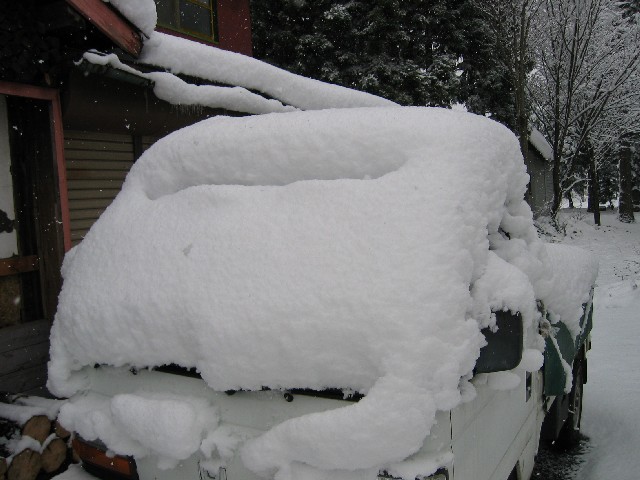 やはり今年は大雪？！