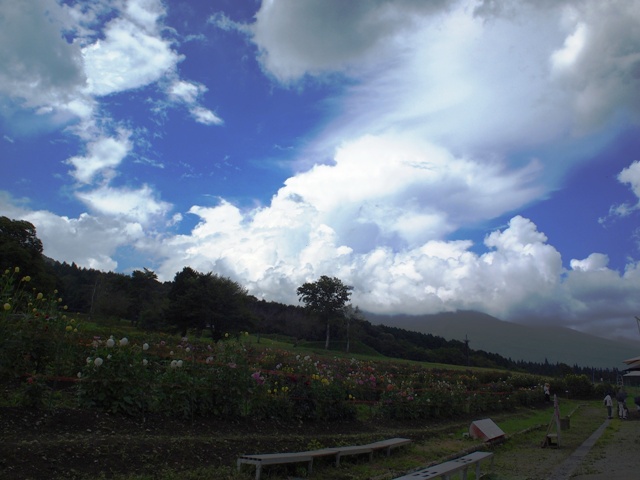 旬花咲く黒姫高原へ20120818