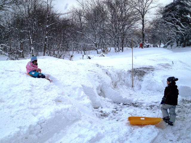 自宅庭にてそり遊び20121224-2